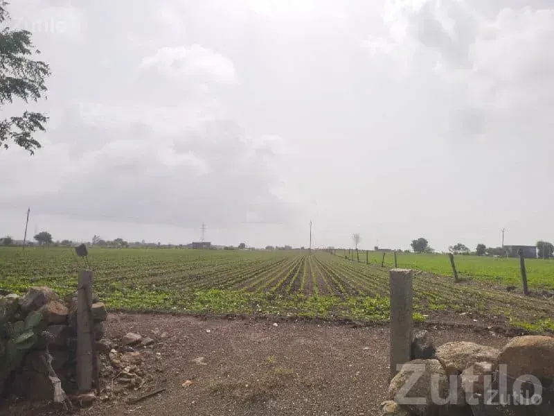 Highway Touch 8 Vigha Farmland Plot - જમીન અને પ્લોટ - વીરપુર - Image 3