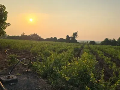 તાલુકો ભાણવડ ગામ નવાગામ જમીન વ તાલુકો ભાણવડ ગામ નવાગામ જમીન વ