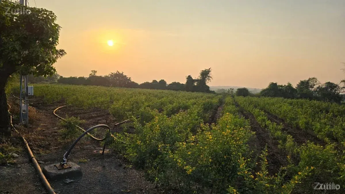 તાલુકો ભાણવડ ગામ નવાગામ જમીન વ - Land & Plots - Bhanvad - Image 1