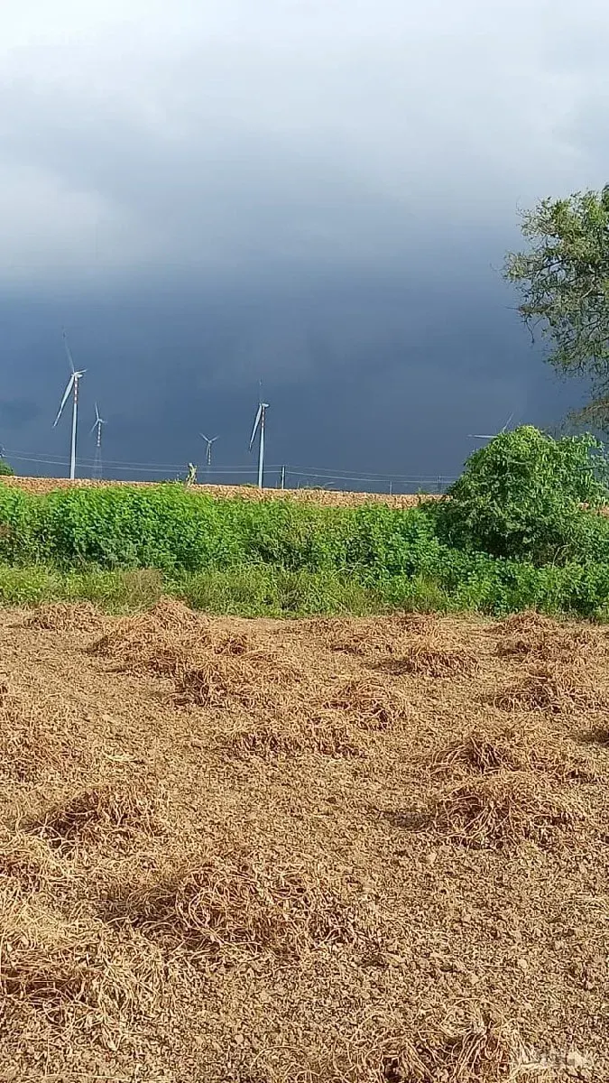 જમીન વેચવાની - Land & Plots - Dwarka - Image 1
