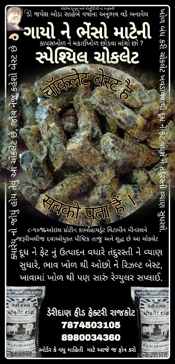 ગાયો ને ભેંસો માટેની ચોકલેટ - Cars - Dhari - Image 4