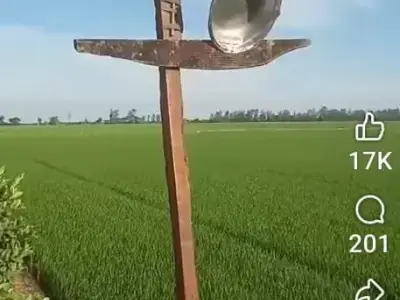 Farm Labour Couple Needed for Permanent Work