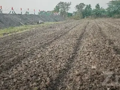 Locha Vali Fertile Agricultural Land Plot Locha Vali Fertile Agricultural Land Plot