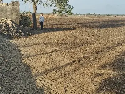 ખેતી ની જમીન ખેતી ની જમીન