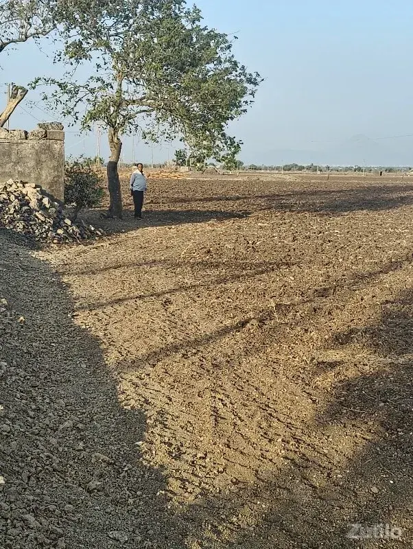 ખેતી ની જમીન - Land & Plots - Chhota Udepur - Image 1