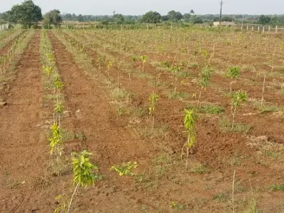 vechvani vechvani