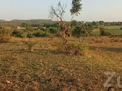 Mendarda Roadside Agricultural Land Plot Mendarda Roadside Agricultural Land Plot