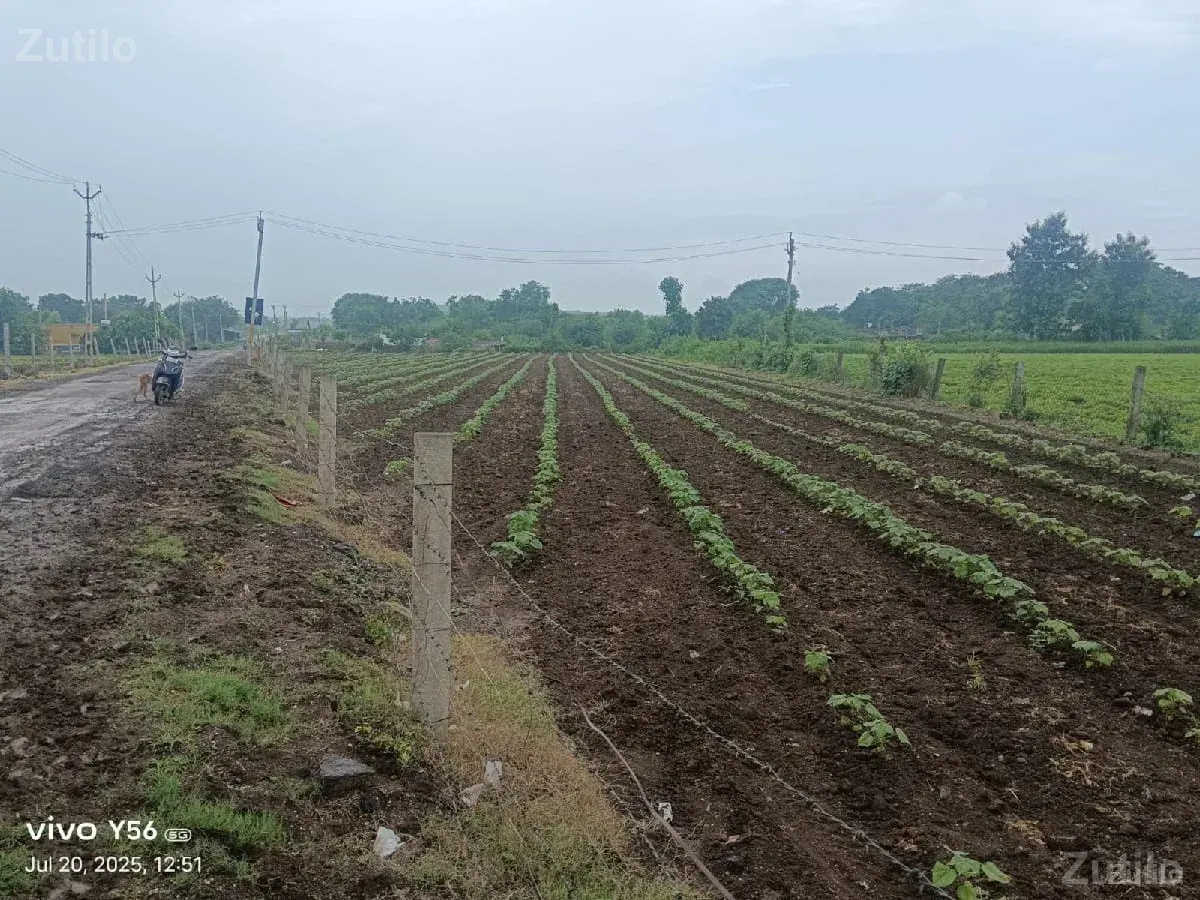 1એકર જમીન રોડ ટચ - Land & Plots - Vadodara City - Image 3