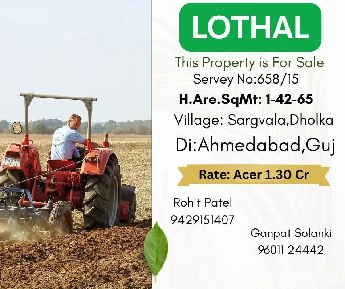 Dholka Saragvala Roadside Plot for Sale - Land & Plots - Dholka - Image 2