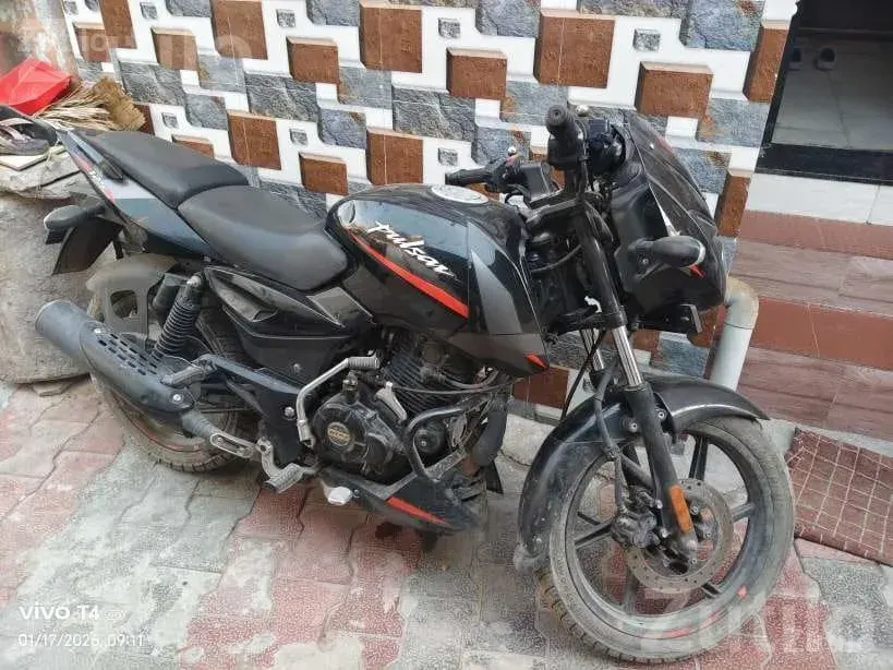 Bajaj Pulsar 125 2023 Bike for Sale - બાઇક્સ - બાવળા - Image 2