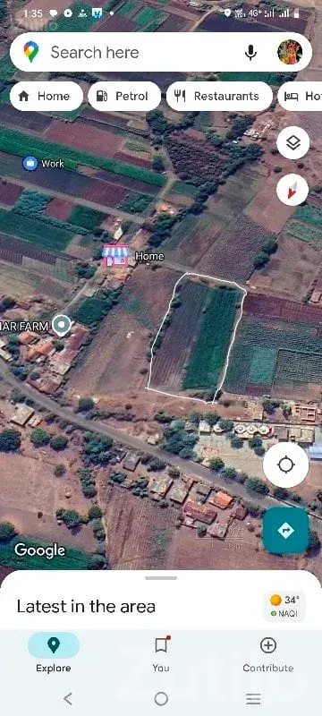 Fertile Agricultural Land in Ghogha - Land & Plots - Ghogha - Image 1