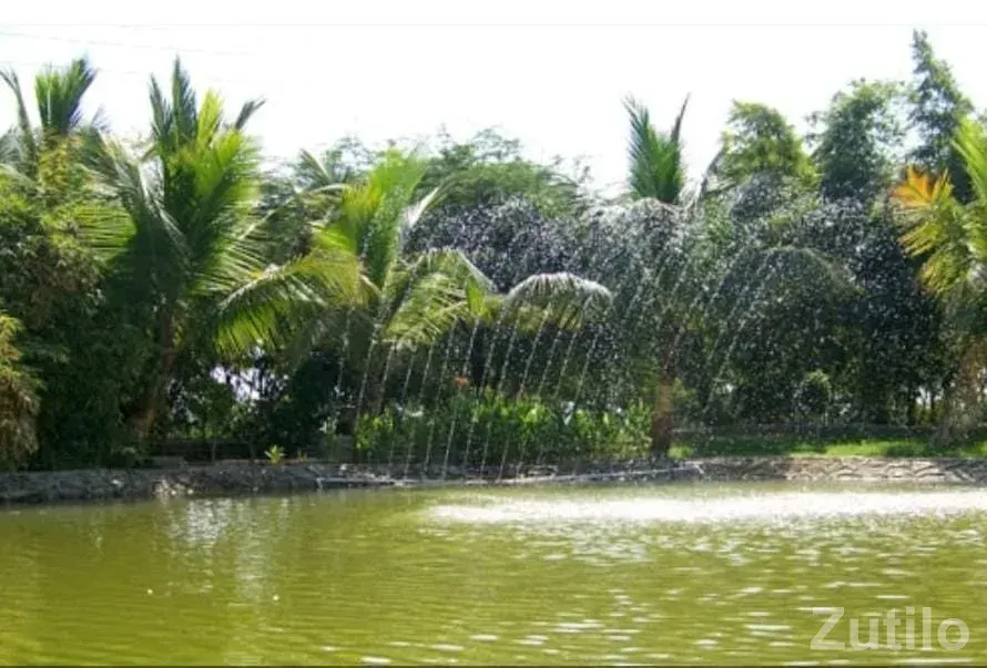 Residential N.A. Plot - Land & Plots - Sanand - Image 3