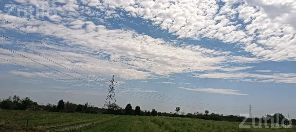 Agricultural Land Plot for Sale - જમીન અને પ્લોટ - ગઢડા - Image 1