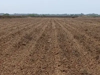 Fertile Agricultural Land Wanted Fertile Agricultural Land Wanted