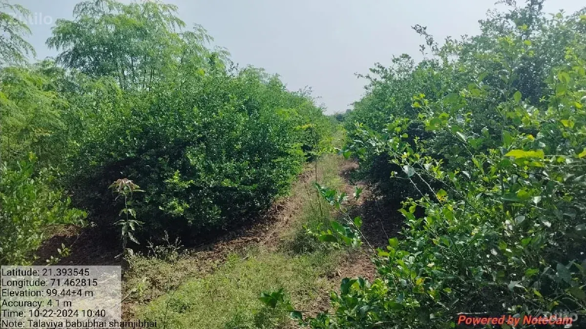 જમીન લે વેચ માટે સંપર્ક કરો* - Land & Plots - Jamjodhpur - Image 3