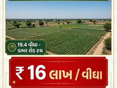 જમીન