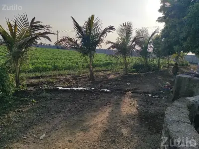 Fertile Agriculture Land for Sale, Upleta Fertile Agriculture Land for Sale, Upleta