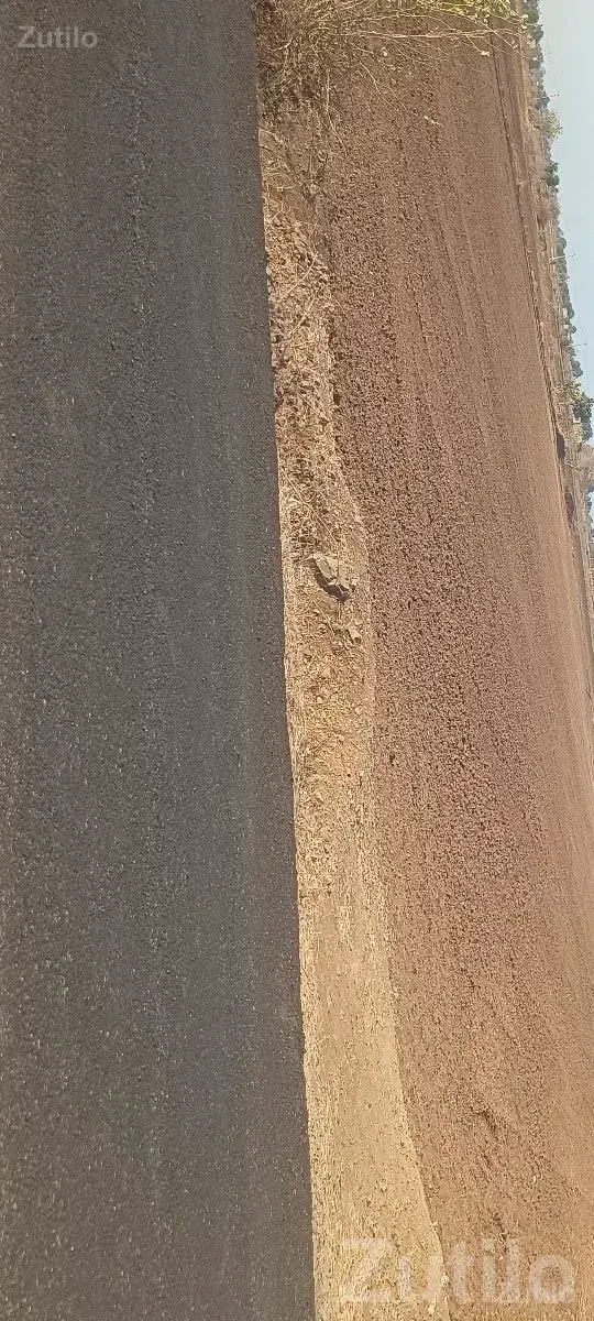 7.5 Bigha Road Touch Farm Land, Visavadar - જમીન અને પ્લોટ - વિસાવદર - Image 1