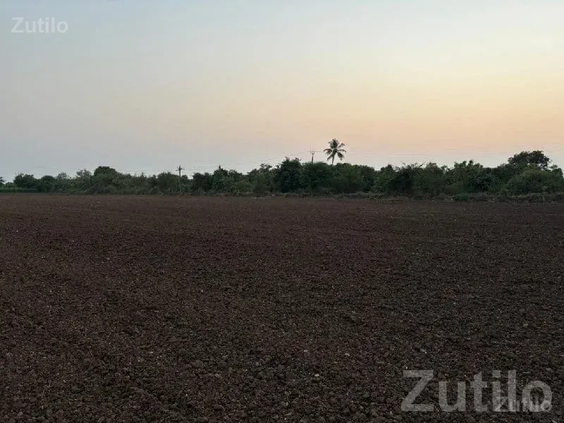 Kodinar 41 Gutha Fertile Farm Land Plot - જમીન અને પ્લોટ - કોડીનાર - Image 2