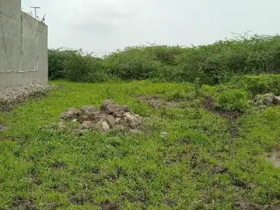 Residential Plot for Sale in Upleta Residential Plot for Sale in Upleta