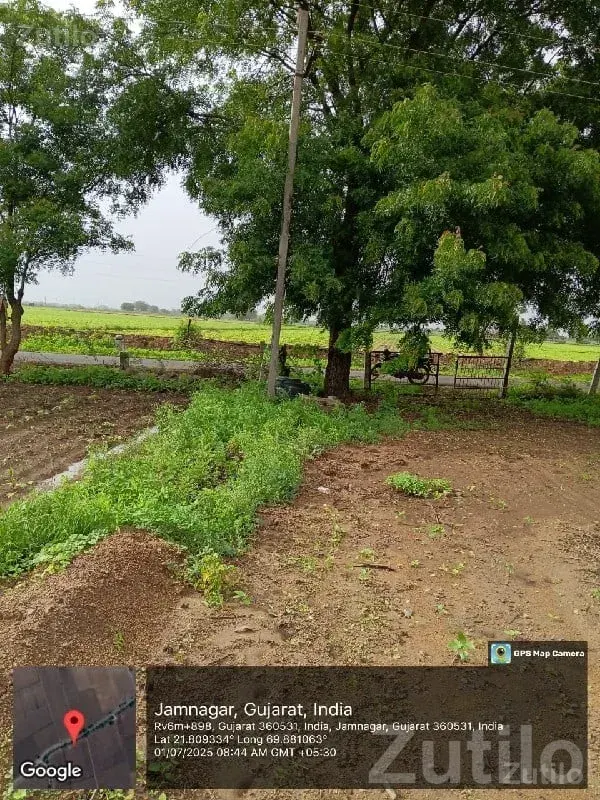 Fertile Agricultural Land Jamjodhpur - જમીન અને પ્લોટ - જામજોધપુર - Image 2
