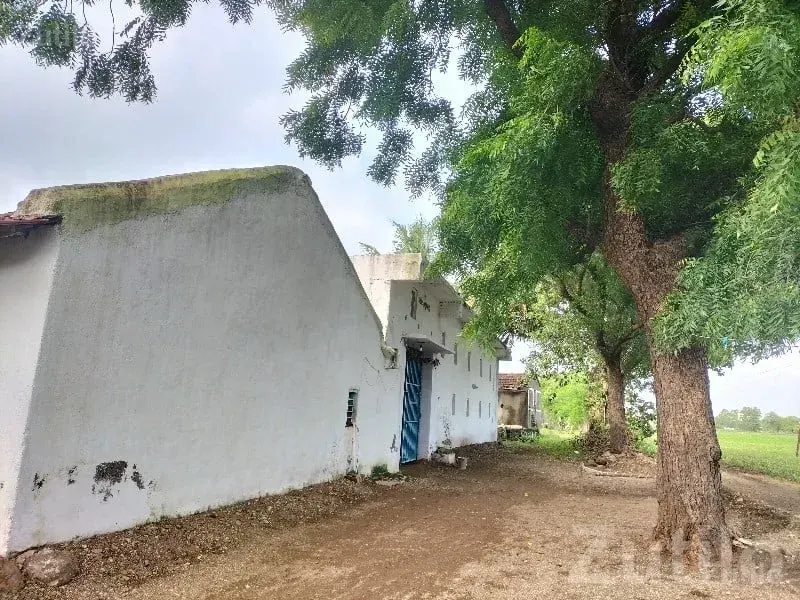 16.5 Vigha Fertile Farm Land Talaja - જમીન અને પ્લોટ - તાળાજા - Image 2