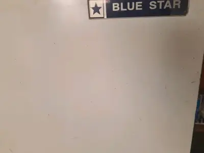 Blue Star Deep Freezer for Ice Cream Blue Star Deep Freezer for Ice Cream