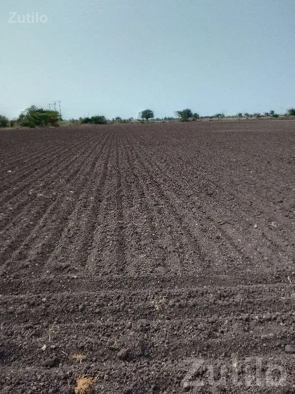 Fertile Agricultural Land Plot for Sale - જમીન અને પ્લોટ - માણાવદર - Image 3