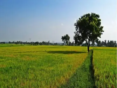જમીન લે વેચ