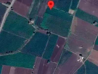 5 Vigha Agricultural Land Manavadar 5 Vigha Agricultural Land Manavadar