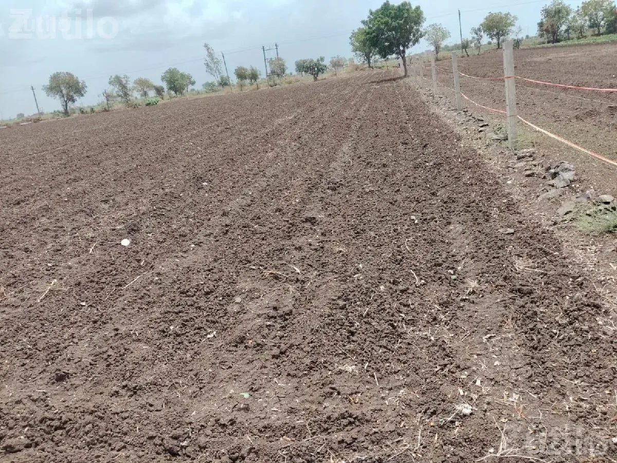 Agricultural Land for Sale - Land & Plots - Wankaner - Image 3