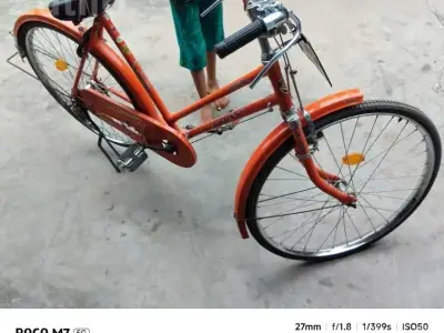 Orange Single Speed Roadster Bicycle Orange Single Speed Roadster Bicycle