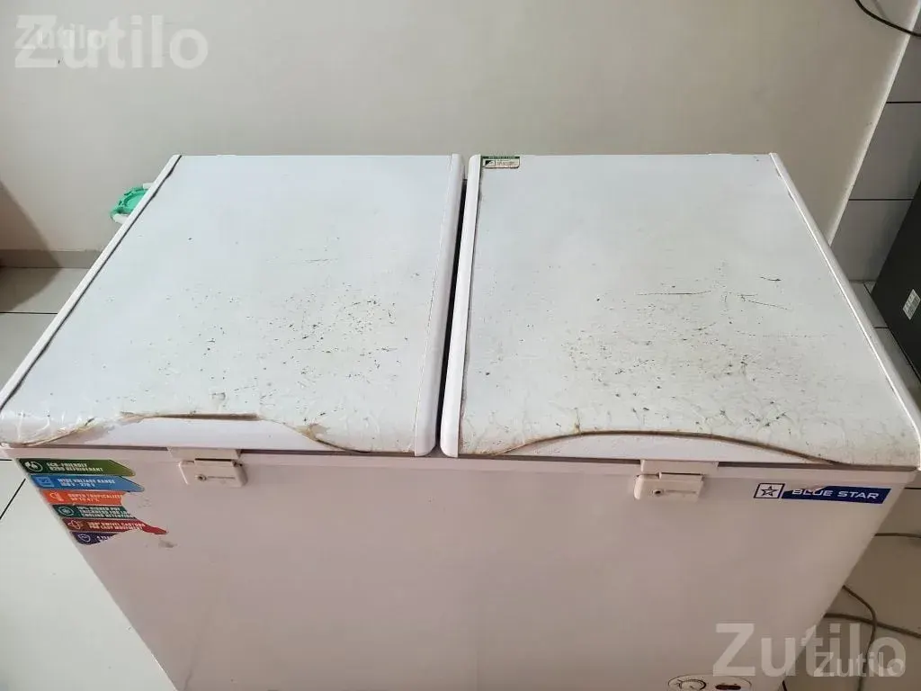 Blue Star 350 Litre Chest Freezer - Refrigerators - Morbi City - Image 4