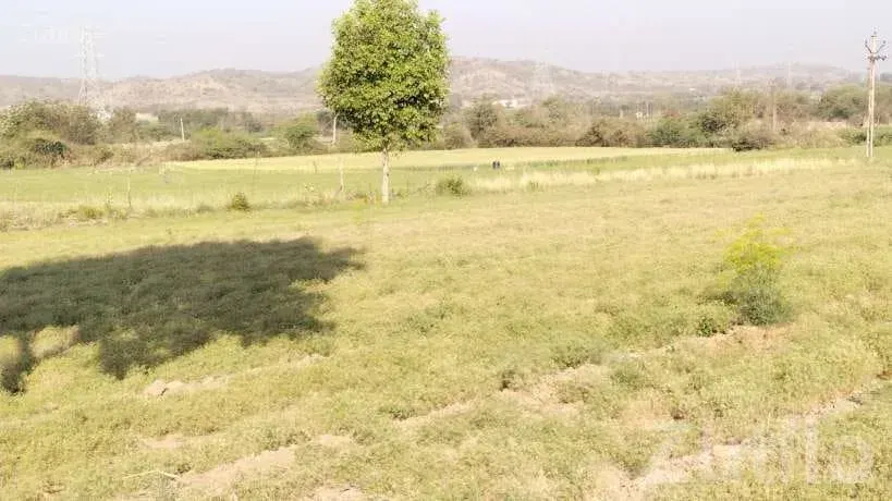 4 Acre Agricultural Land with House for Sale - જમીન અને પ્લોટ - વાંકાનેર - Image 3