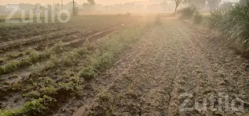 6.20 Bigha Agricultural Land for Sale - Land & Plots - Palanpur - Image 5