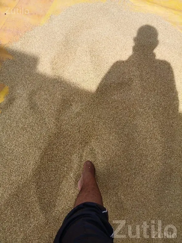 Quality Farm Soil / Filler Material - બીજ અને ખાતર - ભાણવ - Image 1