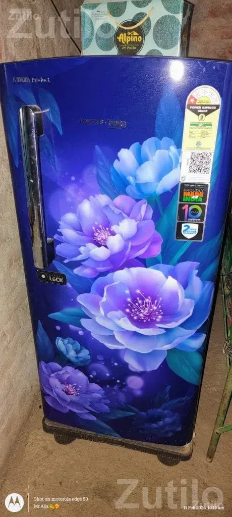 Single Door Refrigerator with Floral Design - Refrigerators - Babra - Image 2