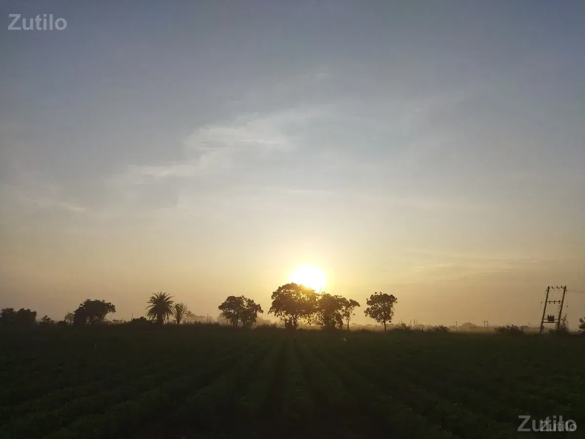 જમીન વેચવાની છે - જમીન અને પ્લોટ - કલ્યાણપુર - Image 2
