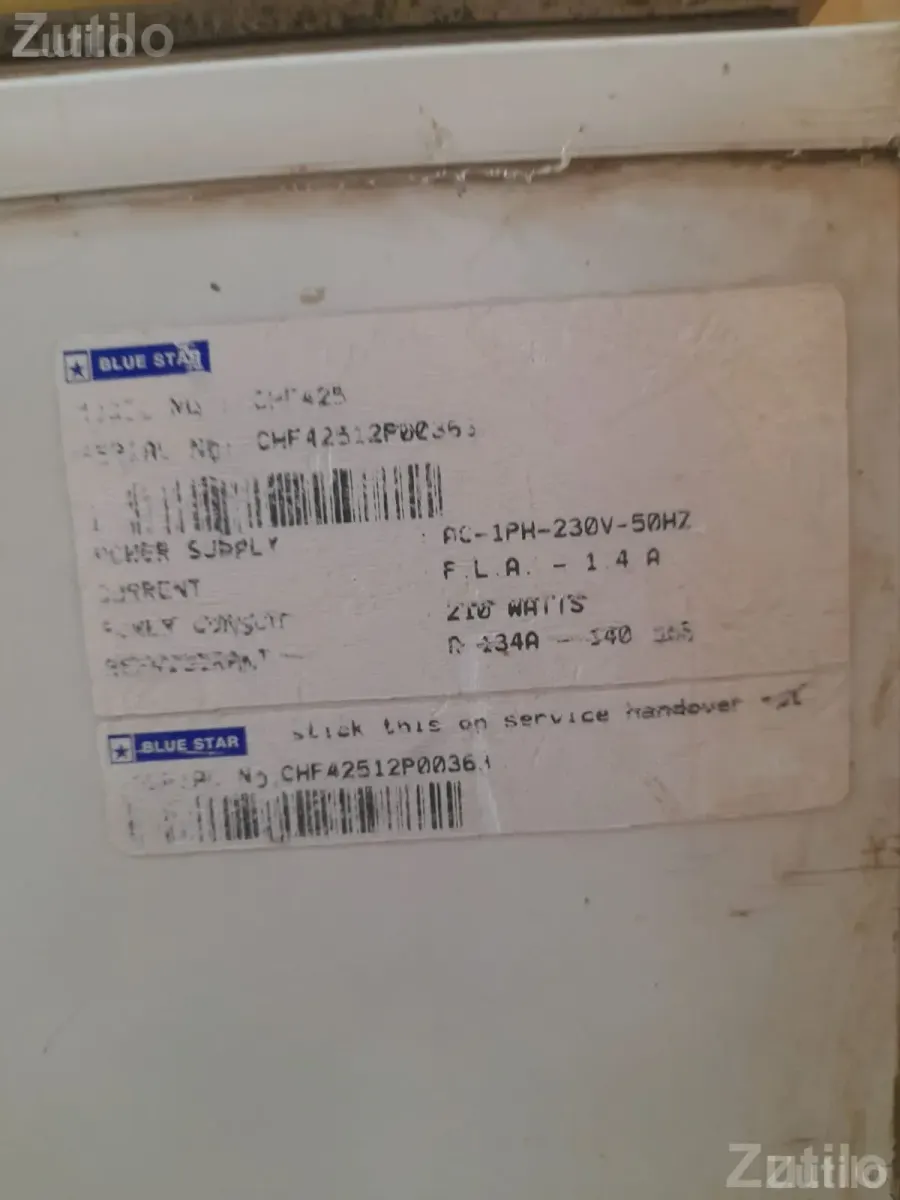 Blue Star Deep Freezer for Ice Cream - Refrigerators - Jasdan - Image 4