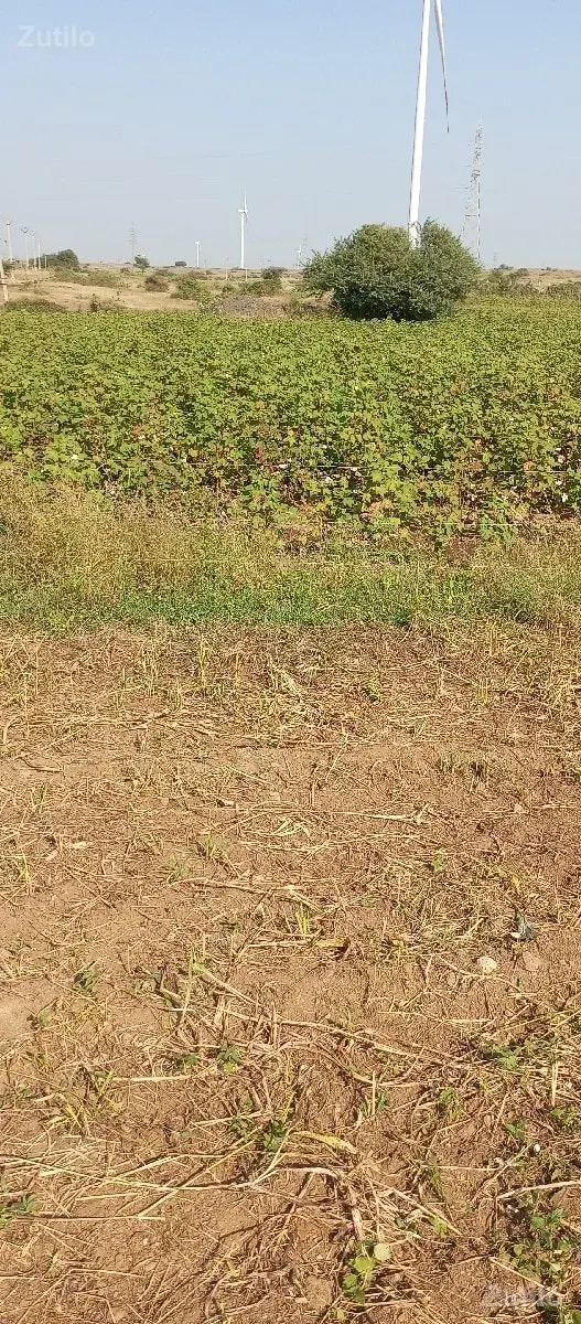 વેસવામાટે - જમીન અને પ્લોટ - ઊના - Image 1