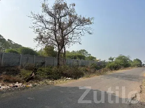 Road Touch 5 Vigha Land for Sale - Land & Plots - Bhanvad - Image 1