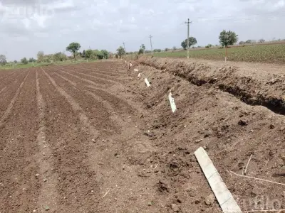 Agricultural Land for Sale