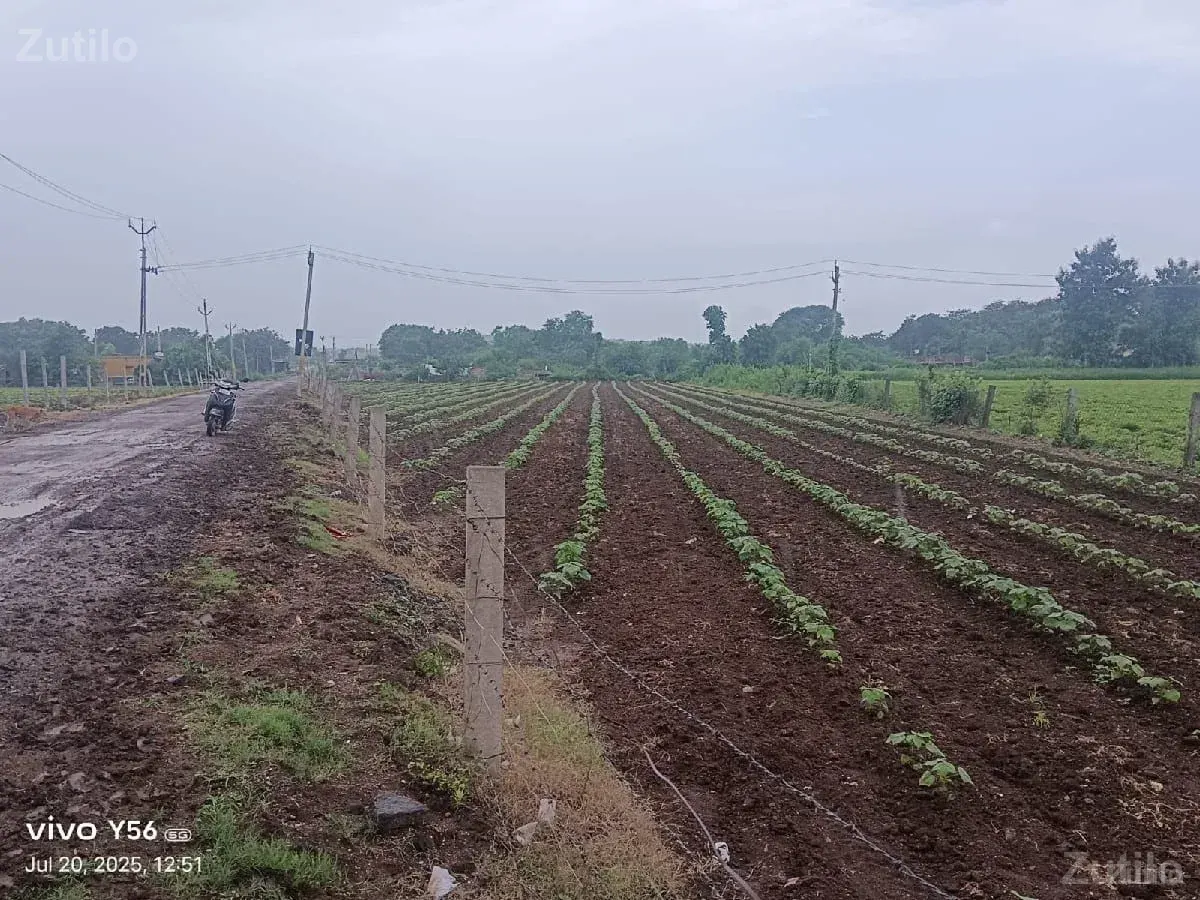 1એકર જમીન રોડ ટચ - Land & Plots - Vadodara City - Image 2