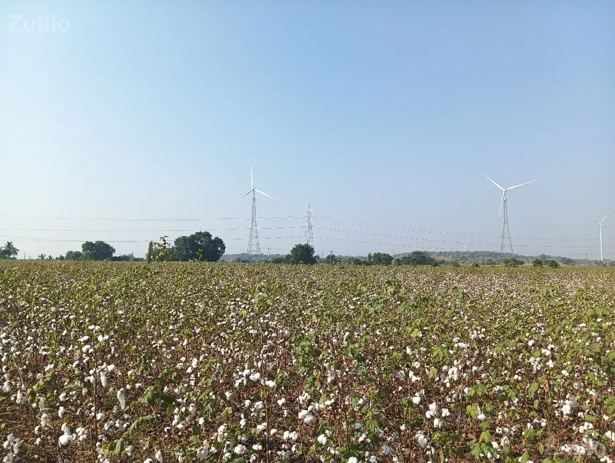 4 Acer jamin - જમીન અને પ્લોટ - જામનગર શહેર - Image 2