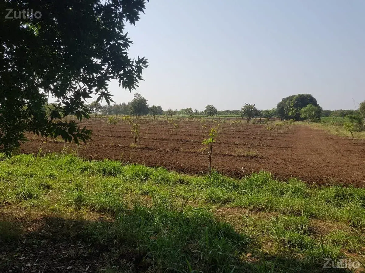 જમીન વેચવાની છે - Land & Plots - Vadodara City - Image 1