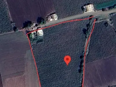Road Touch Agricultural Land Lalpur Road Touch Agricultural Land Lalpur
