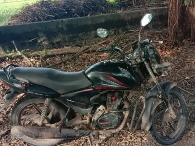 Honda Shine 2013 Bike for Sale Honda Shine 2013 Bike for Sale