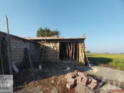 12 Vigha Agricultural Land, Visavadar