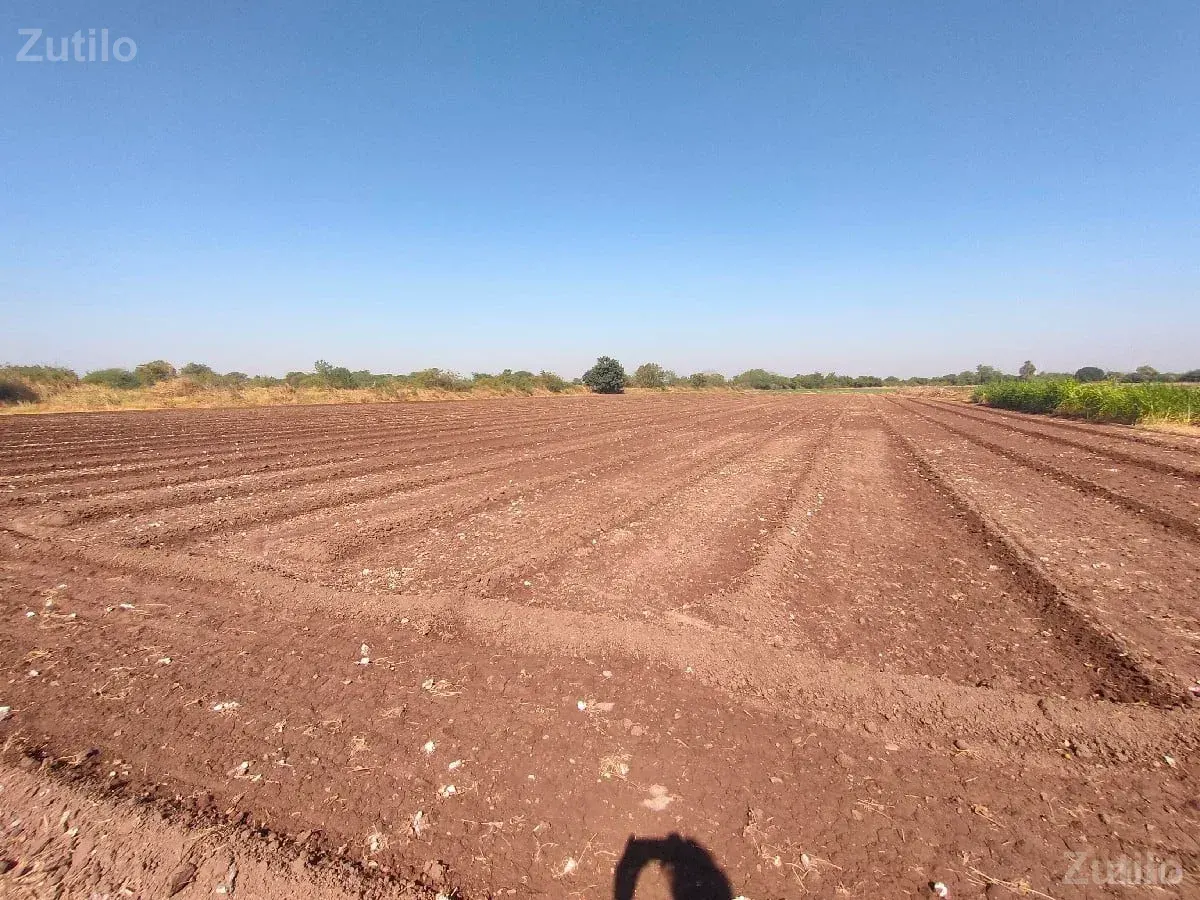 ખેતી ની જમીન વેચવા ની છે - Land & Plots - Jamkandorna - Image 2