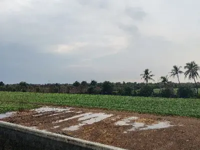 Talala Fertile Agricultural Land on Lease Talala Fertile Agricultural Land on Lease